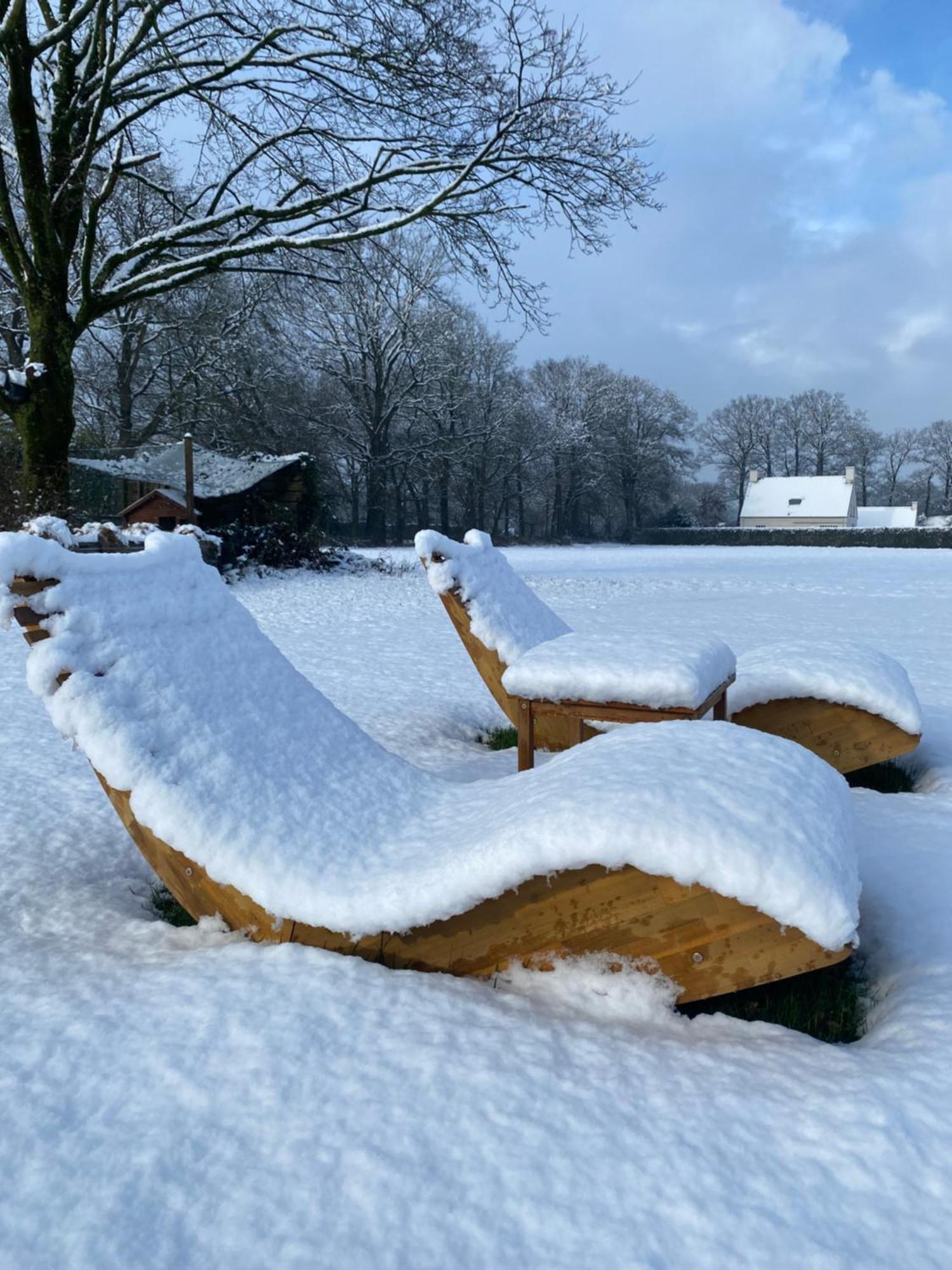 Domestico Bed & Breakfast Lage Mierde Eksteriør billede