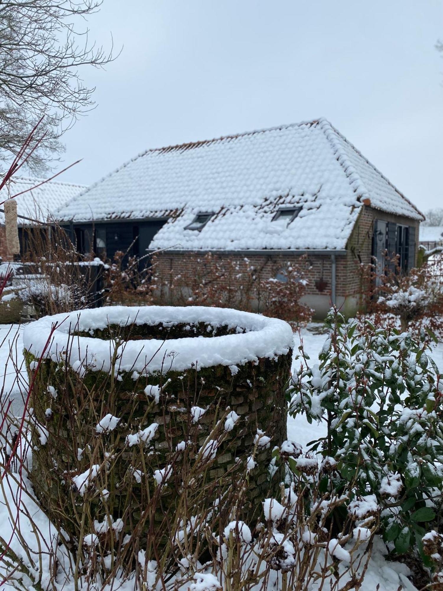 Domestico Bed & Breakfast Lage Mierde Eksteriør billede