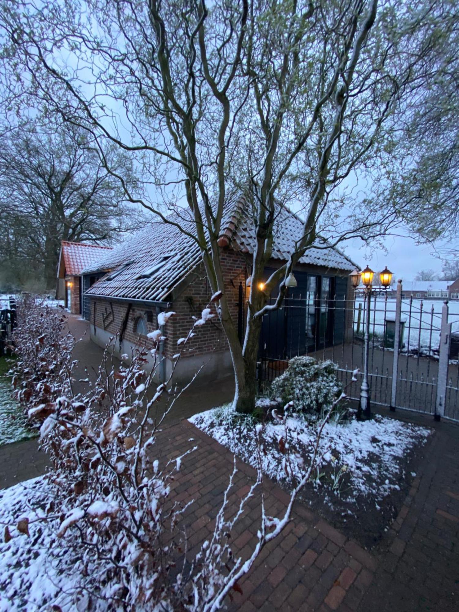 Domestico Bed & Breakfast Lage Mierde Eksteriør billede