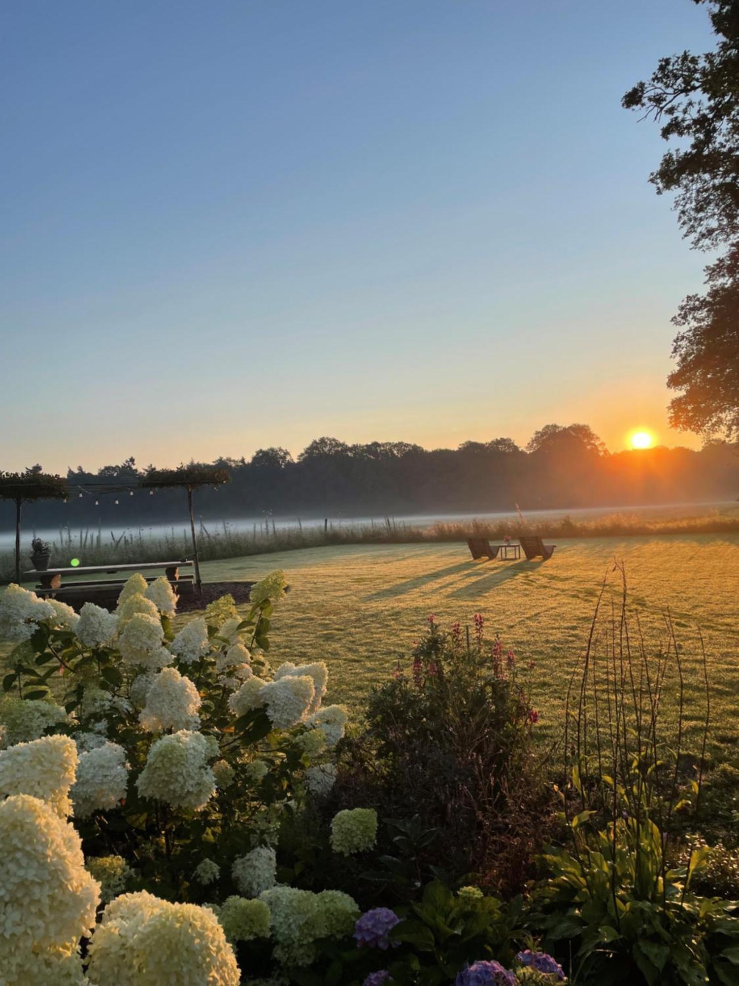 Domestico Bed & Breakfast Lage Mierde Eksteriør billede